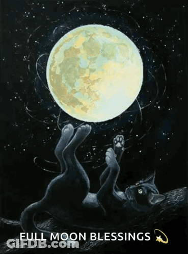 A Painting Of A Cat Laying On Its Back Holding A Full Moon GIF