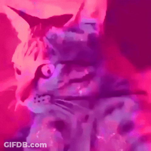A Painting Of A Cat With A Purple And Pink Background . GIF