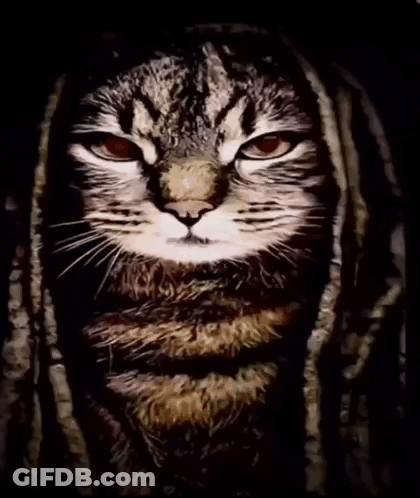 A Painting Of A Cat With Dreadlocks On It GIF
