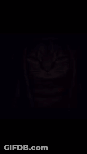 A Painting Of A Cat With Dreadlocks On It 'S Head GIF