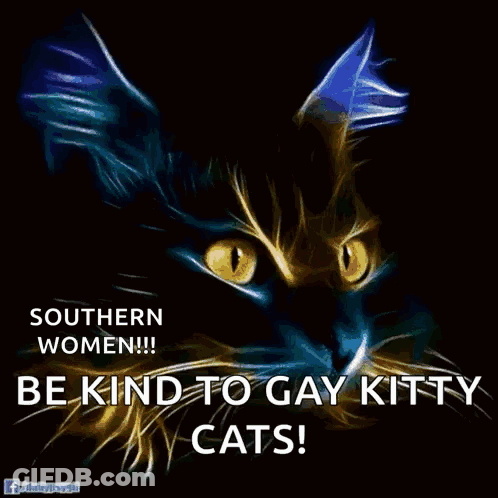 A Painting Of A Cat With The Words " Be Kind To Gay Kitty Cats " On It GIF