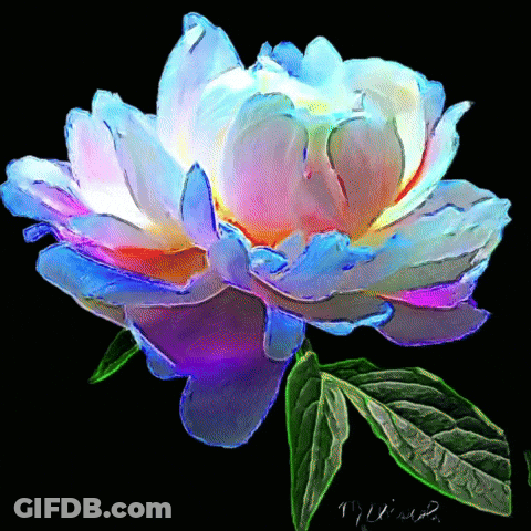 A Painting Of A Colorful Flower With A Green Leaf On A Black Background With The Signature T.j. Windsor GIF