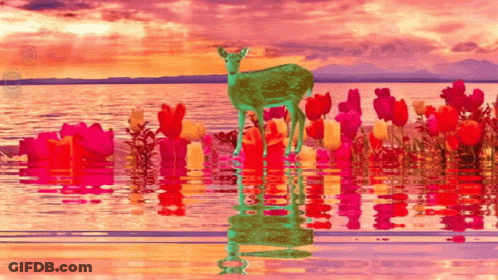 A Painting Of A Deer Standing In The Water Surrounded By Flowers GIF