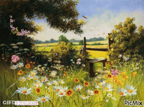 A Painting Of A Field Of Daisies And A Bench With Picmix Written In The Corner GIF
