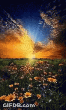 A Painting Of A Field Of Flowers With The Sun Shining Through The Clouds GIF