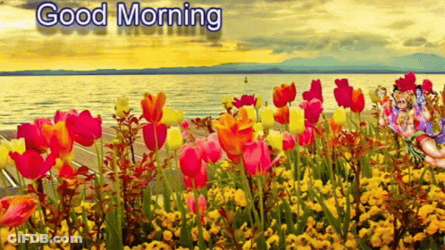 A Painting Of A Field Of Flowers With The Words Good Morning GIF