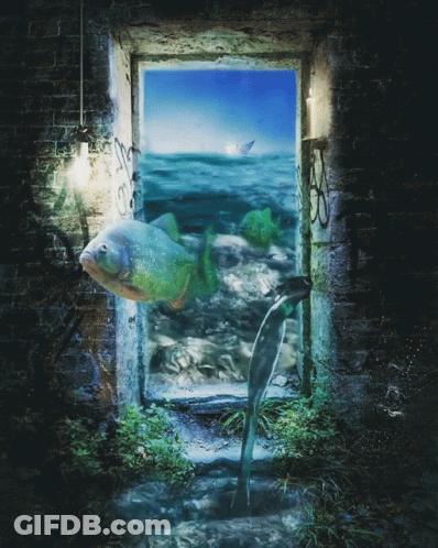 A Painting Of A Fish Swimming In The Ocean With The Letter S On It GIF