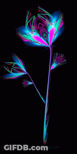 A Painting Of A Flower With The Name Lueche On The Bottom Left GIF