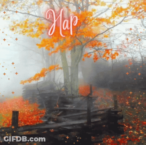 A Painting Of A Foggy Forest With The Word Hap Written On The Top GIF