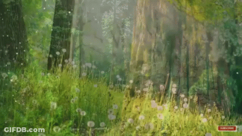 A Painting Of A Forest With A Red Subscribe Button In The Corner GIF