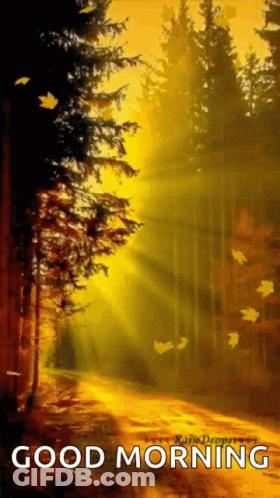 A Painting Of A Forest With The Words Good Morning GIF