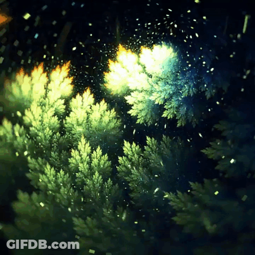 A Painting Of A Forest With Trees And Leaves In The Dark GIF