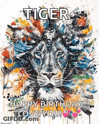 A Painting Of A Lion With The Words " Tiger Happy Birthday !!! Love You " GIF