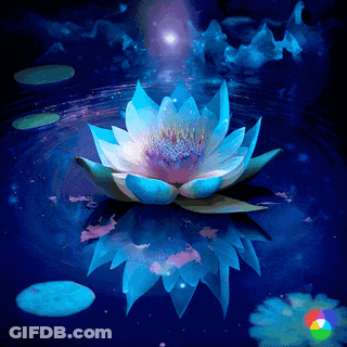 A Painting Of A Lotus Flower In The Water With A Star In The Background GIF