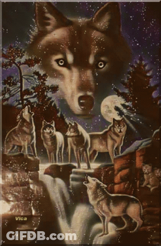 A Painting Of A Pack Of Wolves With The Name Vica On The Bottom GIF