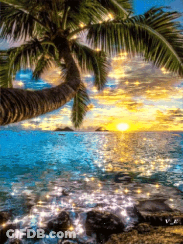 A Painting Of A Palm Tree Overlooking A Body Of Water At Sunset GIF