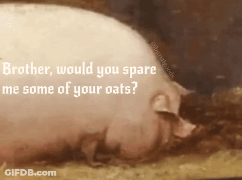A Painting Of A Pig With A Caption That Says Brother Would You Spare Me Some Of Your Oats GIF