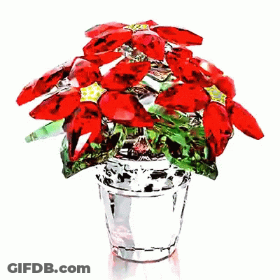 A Painting Of A Poinsettia In A Pot GIF