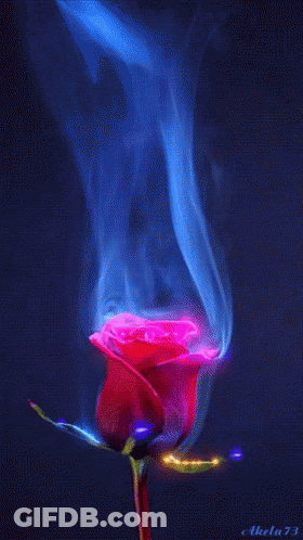 A Painting Of A Red Rose With Blue Smoke Coming Out Of It By Akela 73 GIF