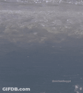 A Painting Of A Sea With The Name Michaelboyd On It GIF