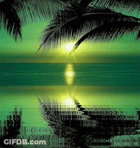 A Painting Of A Sunset Over The Ocean With Palm Trees GIF