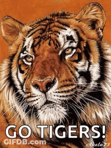 A Painting Of A Tiger With The Words Go Tigers Written Below It GIF