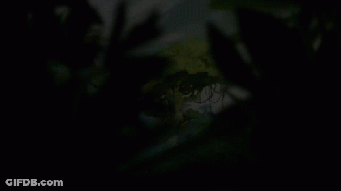 A Painting Of A Tree In The Woods GIF
