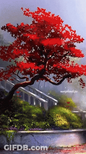 A Painting Of A Tree With Red Leaves And The Name Morphinclips On The Bottom GIF