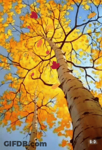 Tree With Yellow Leaves Against Blue Sky GIF