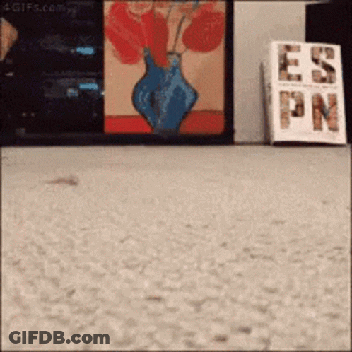 A Painting Of A Vase Of Flowers Is Behind A Sign That Says Ess Pn GIF