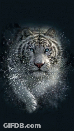 A Painting Of A White Tiger With Blue Eyes On A Dark Background GIF