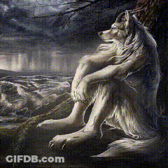 A Painting Of A Wolf Sitting On A Rock Looking Out Over A Body Of Water GIF