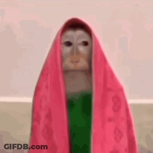 A Painting Of A Woman With A Pink Scarf Over Her Head GIF