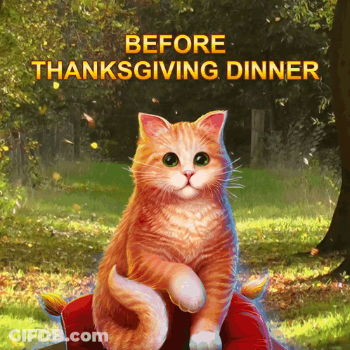 A Painting Of An Orange Cat With The Words " Before Thanksgiving Dinner " Above It GIF