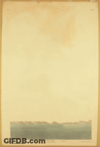 A Painting Of An Osprey With A Fish In Its Beak Is Titled ' Osprey ' GIF
