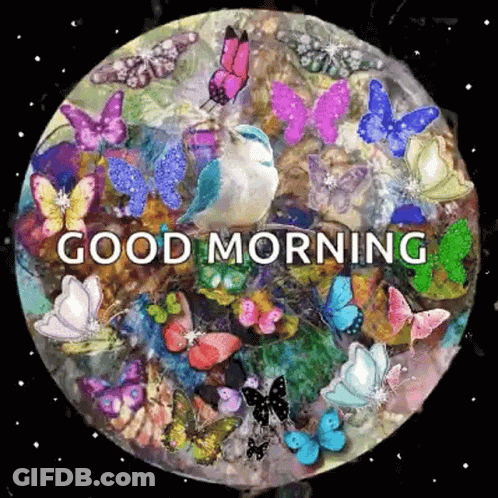 A Painting Of Butterflies And A Bird With The Words Good Morning Written On It GIF