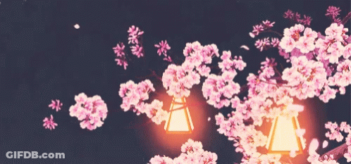 A Painting Of Cherry Blossoms With Lanterns In The Background GIF