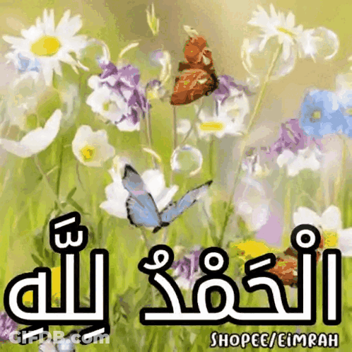 A Painting Of Flowers And Butterflies With The Words Shopee / Eimrah GIF
