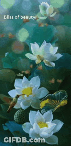 A Painting Of Flowers With The Words Bliss Of Beauty GIF