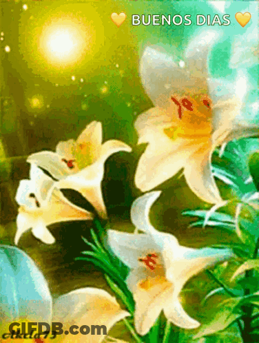 A Painting Of Flowers With The Words Buenos Dias On The Top GIF