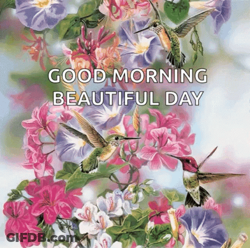 A Painting Of Hummingbirds And Flowers With The Words " Good Morning Beautiful Day " On The Bottom GIF