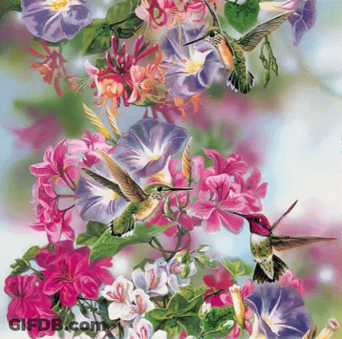A Painting Of Hummingbirds Surrounded By Pink Flowers GIF