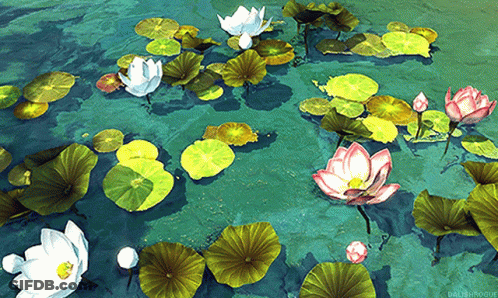 A Painting Of Lotus Flowers And Lily Pads In A Pond With The Watermark Dalishrogue GIF