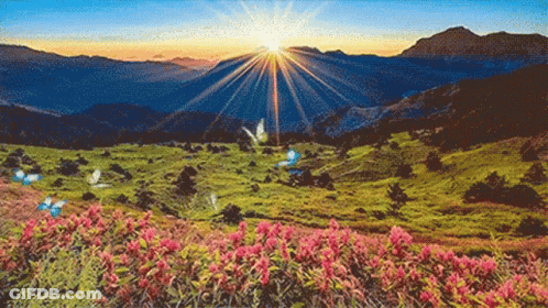 A Painting Of The Sun Shining Through The Mountains With Butterflies In The Foreground GIF