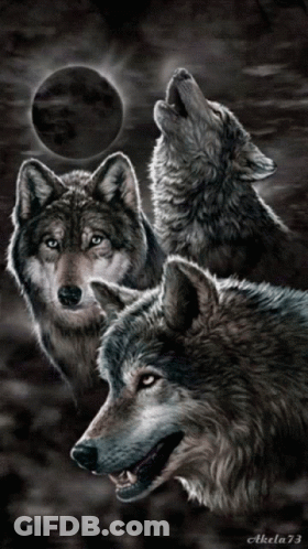 A Painting Of Three Wolves Howling At The Moon By Aktela73 GIF