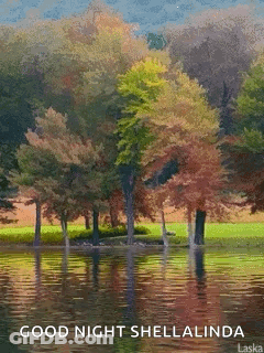 A Painting Of Trees In A Lake With The Words Good Night Shellalinda On The Bottom GIF