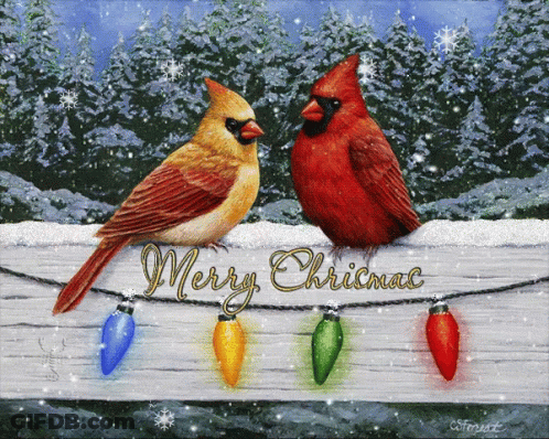A Painting Of Two Cardinals Sitting On A Fence With The Words Merry Christmas GIF