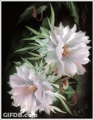 A Painting Of Two White Flowers With The Name Kowalski On The Bottom Right GIF