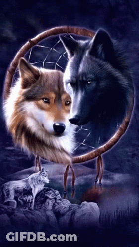 A Painting Of Two Wolves In A Dream Catcher With One Looking At The Other GIF