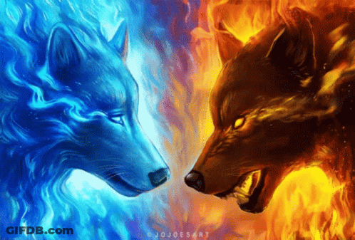A Painting Of Two Wolves Looking At Each Other With Jojoesart Written On The Bottom GIF